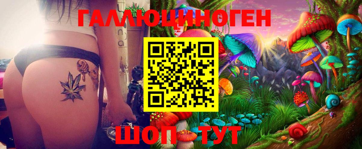 Сыктывкар  Галлюциногенные грибы Magic Shrooms  Вход с VPN 