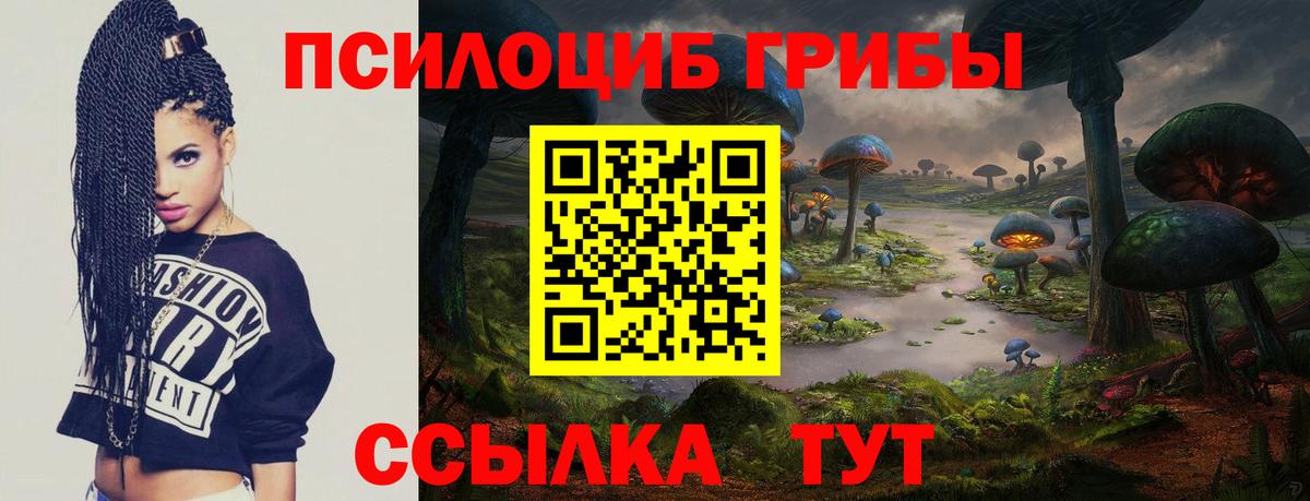 Галлюциногенные грибы ЛСД Сыктывкар