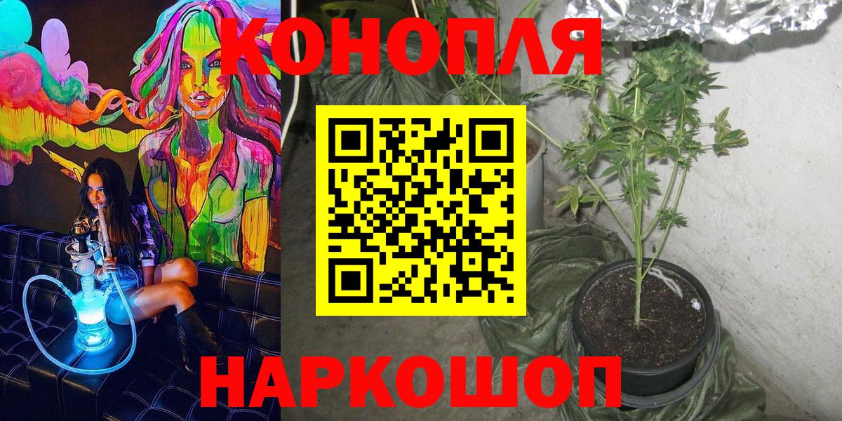 МАРИХУАНА план  Вход с VPN  Сыктывкар  Конопля марихуана  Канабис LSD WEED  Канабис OG Kush 